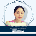 7 razones que hace a DESMART Ltda. su distribuidor de paneles solares perfecto